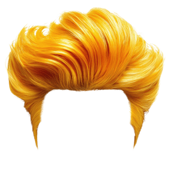 Vibrant golden hairstyle with voluminous texture isolated on white background png