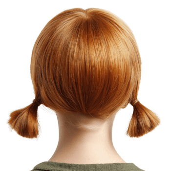 Bright orange hair styled in playful pigtails viewed from the back against a plain background png