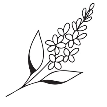 simple icon of a lilac branch drawn with several lines in line art style, for logos and tattoos vector