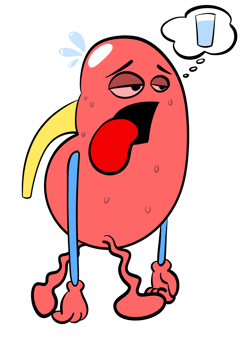 Cute kidney sticker need hydration png