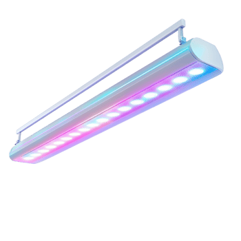 Pendant Light Bulb Transparent Background png