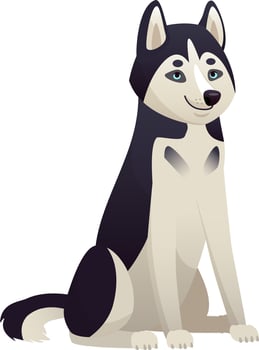 Friendly siberian husky dog sitting and looking forward, cute pet canine animal with fluffy fur, adorable purebred domestic companion, isolated on white background vector