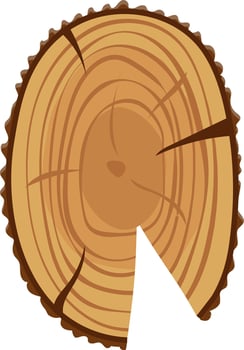 Tree trunk section revealing intricate growth rings, showcasing the age and history of the tree against a clean white background, highlighting nature's beauty and resilience vector