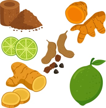 Indonesian Herbal Drink Ingredients vector