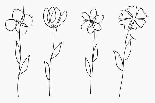 Minimalistic Single Line Flower Collection vector
