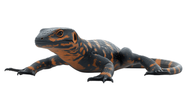 Reptile with striking orange and black patterns perfect for nature wildlife and educational png