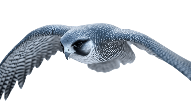 Soaring Bird in Flight with Detailed Feathers and Expressive Eyes png