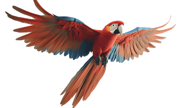 Vibrant Parrot in Flight with Detailed Feathers and Expressive Features png
