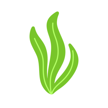 Sea plants illustration in hand drawn design style for graphic element decoration png