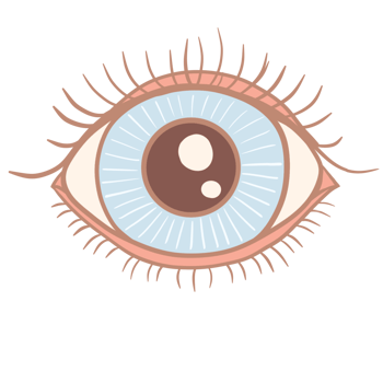 an eye with a blue and brown iris png