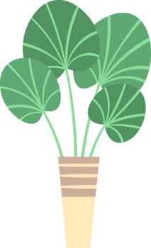 Lush potted plant featuring large, rounded, striped leaves enhances interior spaces, infusing homes with a vibrant, calming atmosphere that embraces natural beauty and tranquility vector