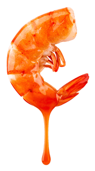 boiled shrimp dripping with thai seafood sauce, macro food photography isolated on white background png