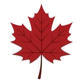 Isolated Fall Leaves in a Seasonal Art Illustration vector