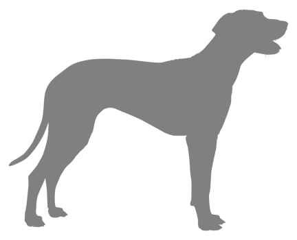 Dog Silhouette, Flat Style png