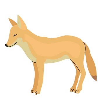 Coyote icon clipart avatar logotype isolated illustration vector