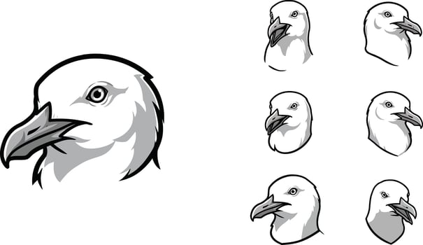 Bald eagle head illustrations showing various angles of white feathers and orange beak in style vector