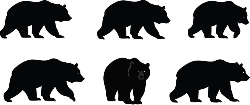 Bear silhouettes in various poses set with solid black shapes for natural wildlife design elements illustration vector