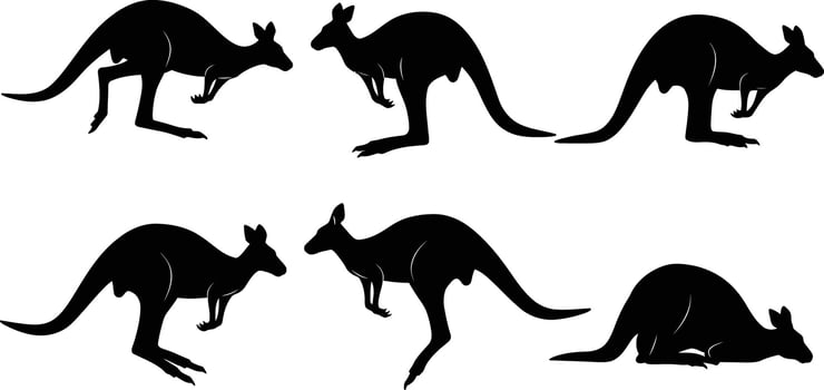 Kangaroo silhouettes in various poses black illustration for wildlife design and Australian animal themes vector