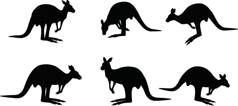 Kangaroo Silhouettes Set Showing Different Poses and Movements in Black Style vector