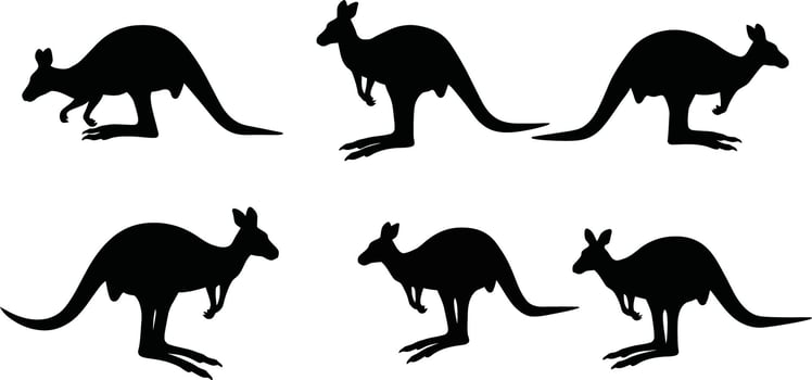 Kangaroo silhouette set with six different jumping and standing poses in black illustration vector