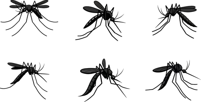 Mosquito silhouettes in various flying and resting positions illustration set vector