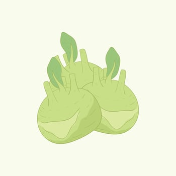 Delicacy white kohlrabi vegetables flat design cartoon illustration vector