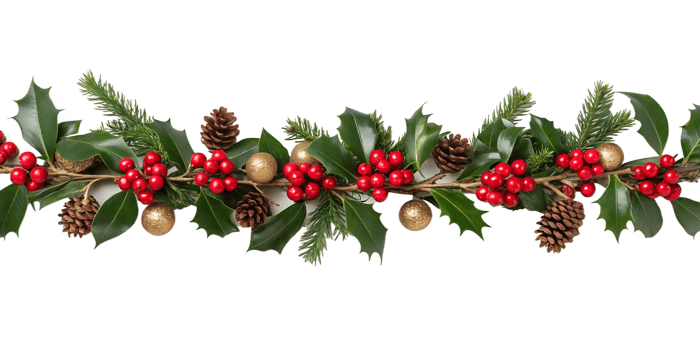 christmas wreath with red berries png