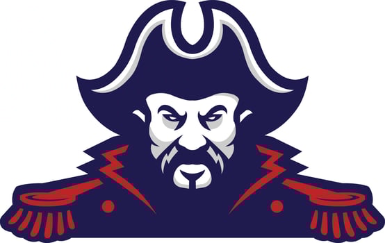 pirate mascot logo icons vector