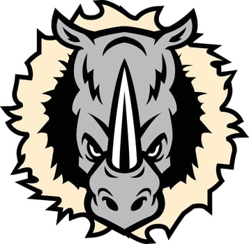 sports rhino mascot set vector