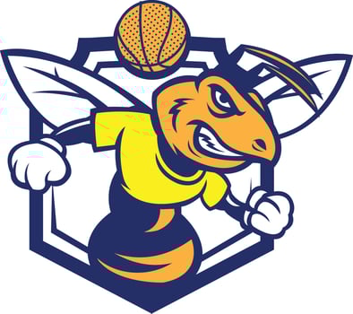 hornet sports emblem vector