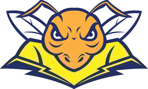 flying hornet design vector