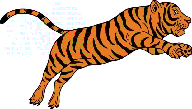 tiger head collection vector