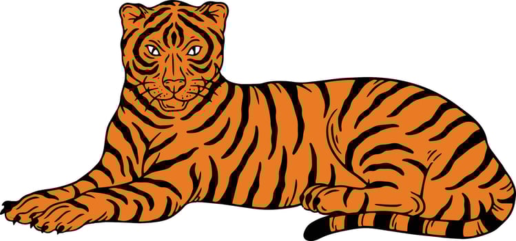 cartoon tiger face clipart vector