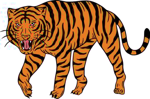 isolated tiger face collection vector
