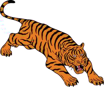 cartoon tiger face collection vector