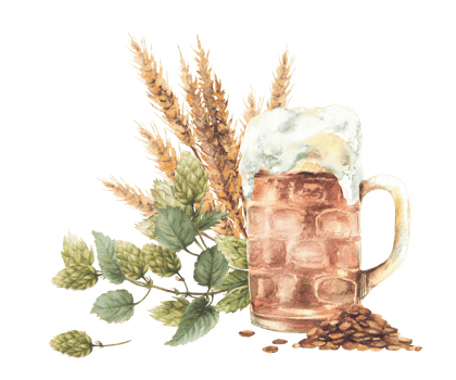 Beer mug with green hops branch, heap of malt with malt spike, ears. Watercolor light masses or litre of foamy lager drink with brewing ingredients. Food clipart. Hand drawn isolated illustration png