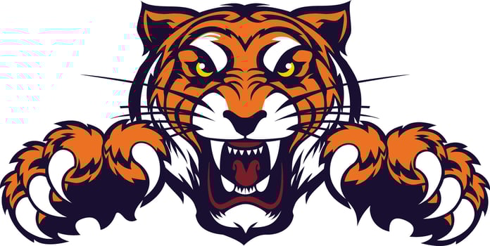 angry tiger head for use as print poster sticker logo tattoo emblem and other vector