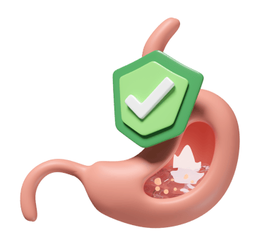 3d human stomach with shield, check mark isolated. health care, medicare, health Insurance concept, 3d illustration render png