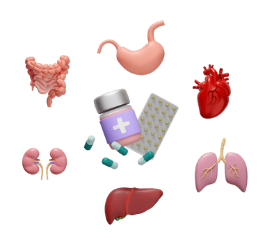 3d medicine bottle with antibiotics, heart, liver, lungs, intestine, kidney, stomach isolated. 3d illustration render png
