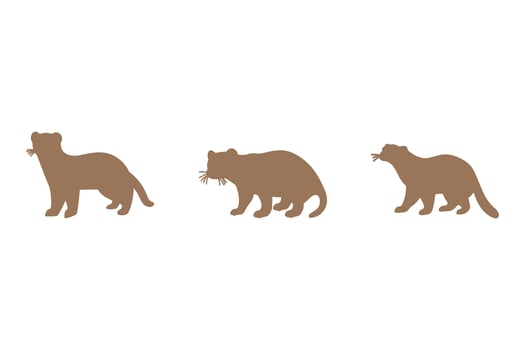 Stone Marten Silhouette Icon Set. Animal Illustration Design vector