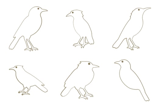 Xenops Bird Outline Icon Set. Animal Illustration Design vector