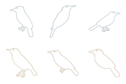 Shrike Bird Outline Icon Set. Animal Illustration Design vector