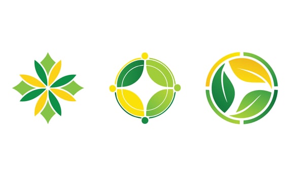 illustration of a set of colorful flowers vector
