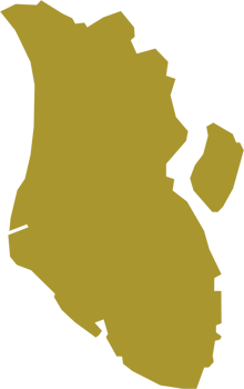 freehand drawing of Charleston city map. png