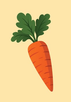 Carrot icon illustration vector