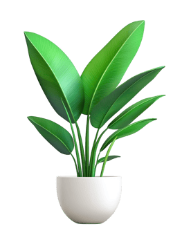 Green plant in pot decorative element on transparent background png