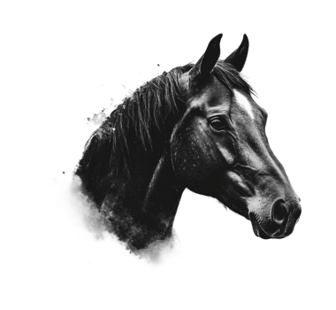 Dramatic monochrome portrait of a majestic horse head in profile png