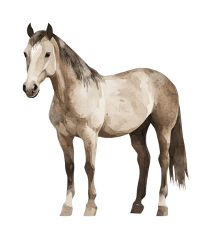 Elegant watercolor horse painting capturing graceful equine beauty png