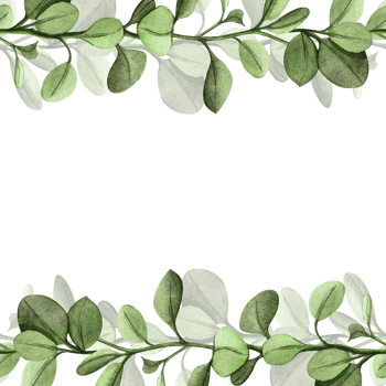 Spring fresh green floral frame with seamless border - twigs and foliage. Hand drawn watercolor template - botanical bordure. Perfect for seasonal arrangement, greenery themes, wedding, Easter decor png