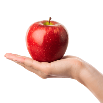 Red Apple in Hand A close-up shot features a vibrant, ripe red apple being held delicately in the palm of a hand png